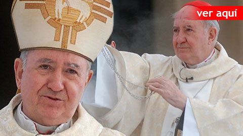 El G8 del Vaticano. El capuchino más parecido al Papa