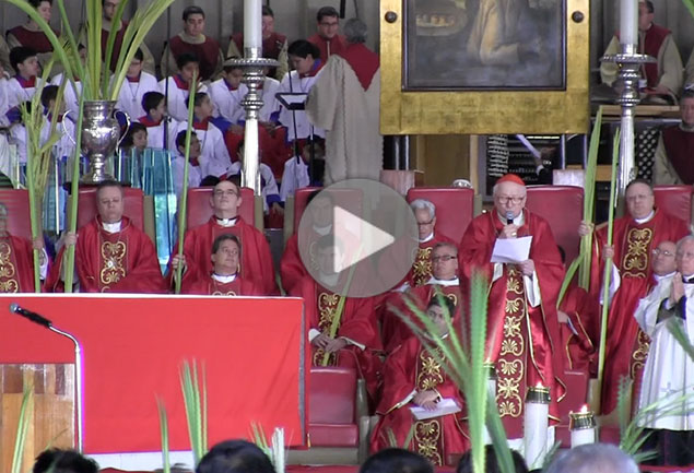 Mensaje Cardenal Antonelli a defensores de la vida