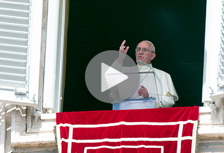 Angelus 22 agosto 2016