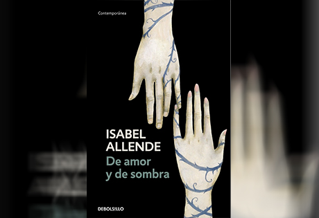 Libro De amor y de sombra