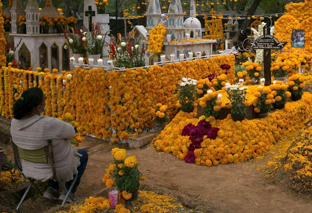 Celebración distinta